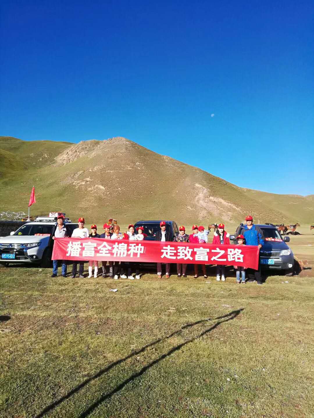 播富全棉種，走致富之路