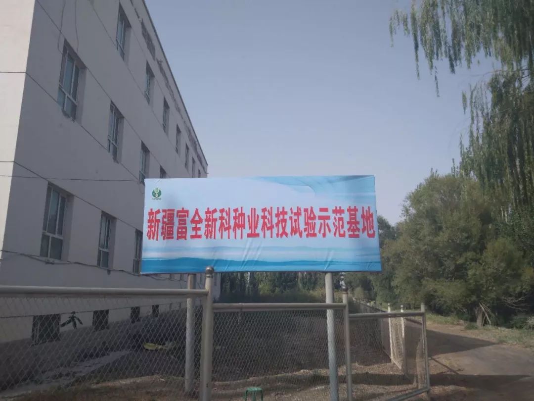 州領(lǐng)導(dǎo)及棉花專家蒞臨富全新科種業(yè)良繁基地觀摩指導(dǎo)工作